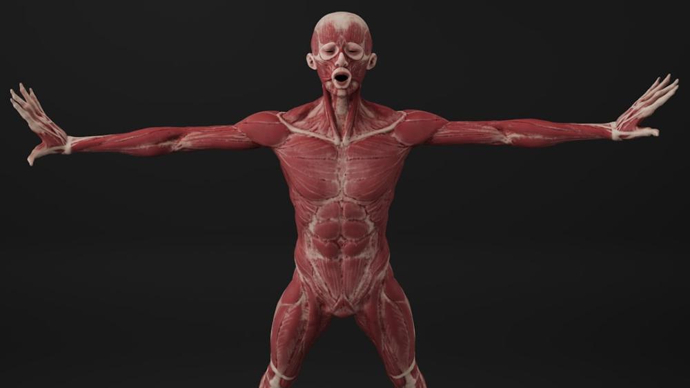 Uundgåeligt: Hvordan Graviditet Påvirker Bryststørrelse